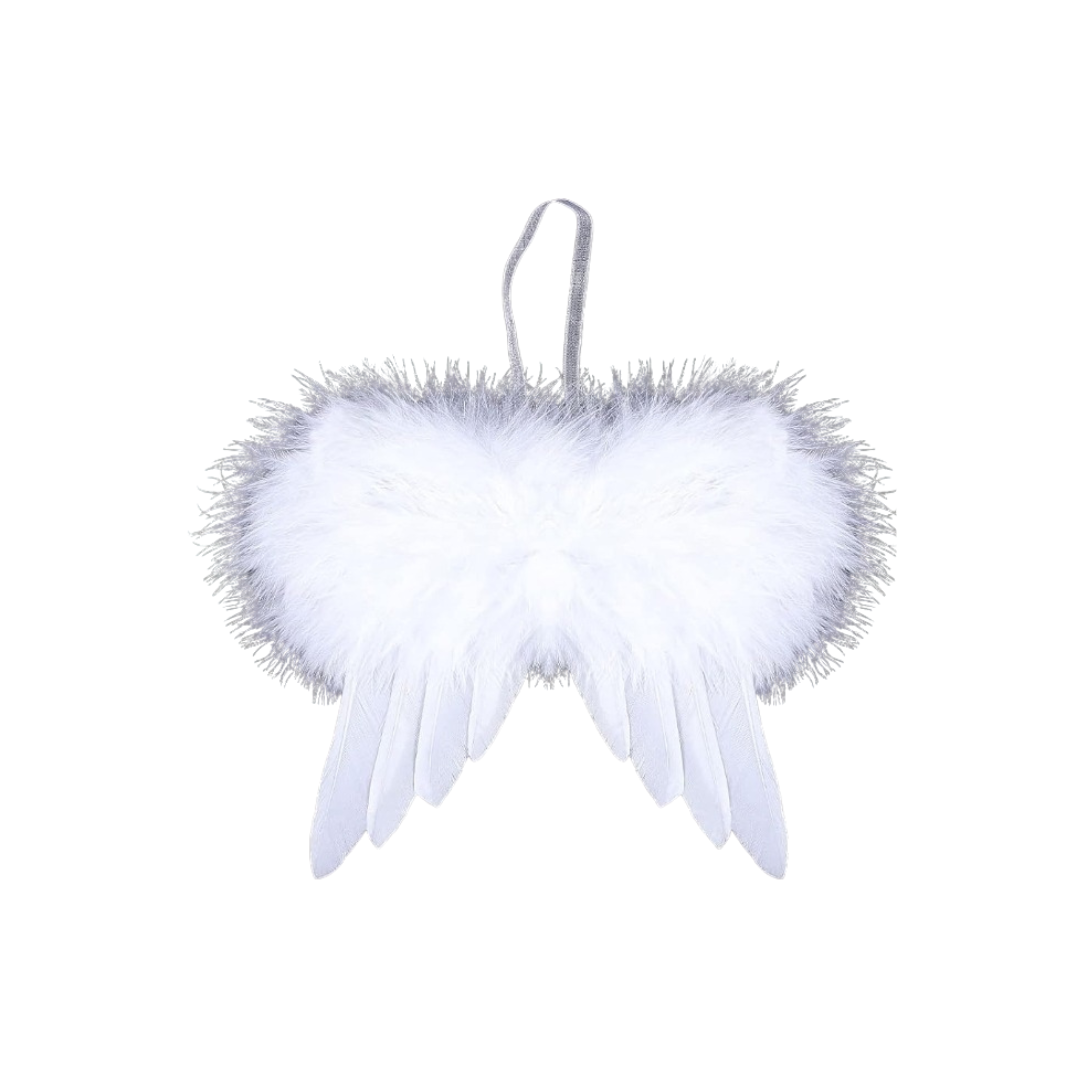 Angel wings